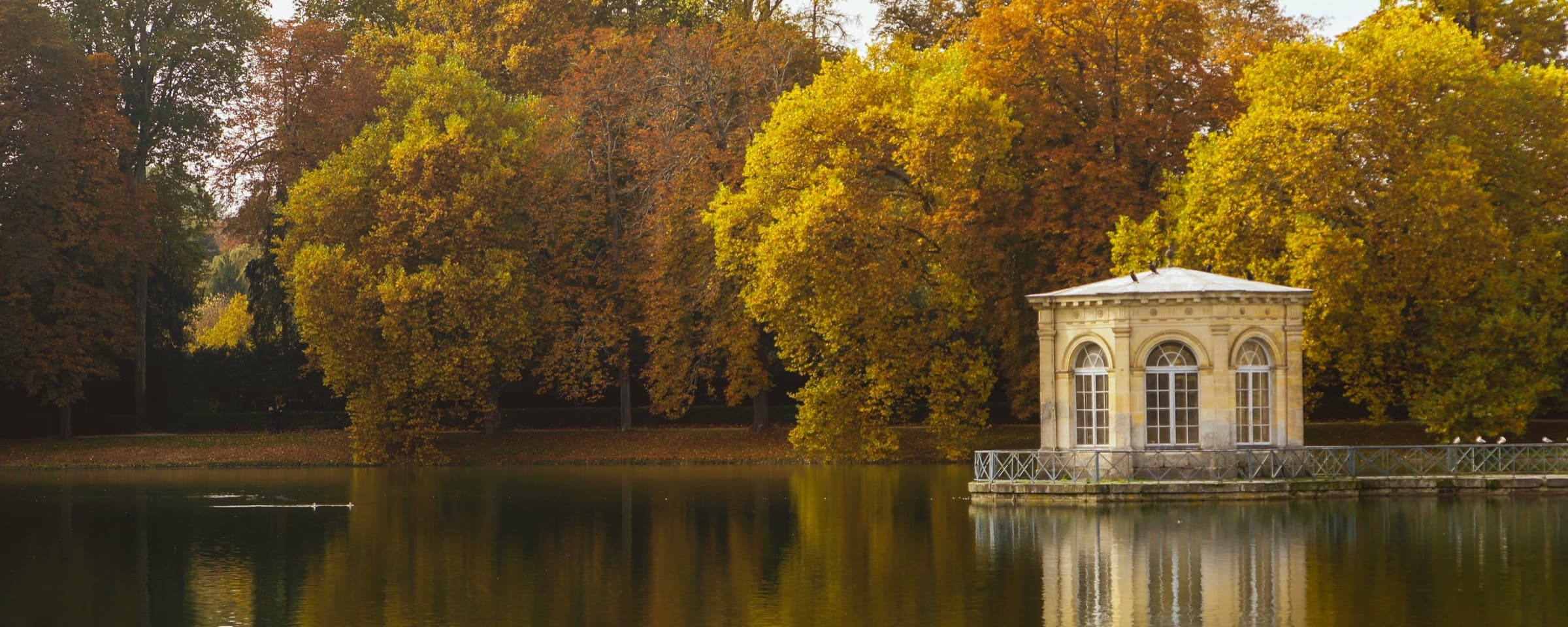 The Étang aux Carpes at Fontainebleau